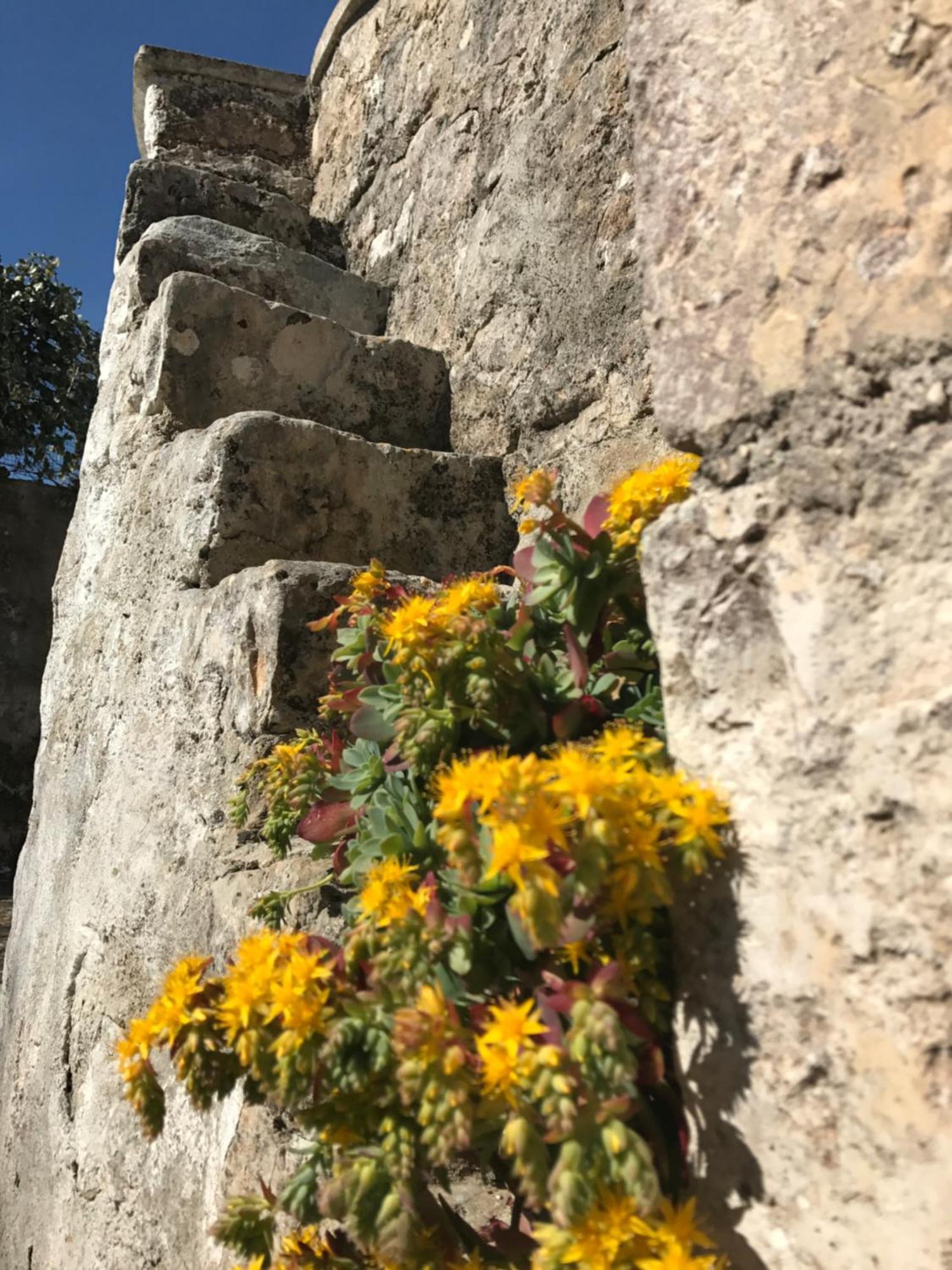 Gasthaus Agritrulli Ostuni Exterior foto